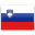 Словения : Государственный флаг